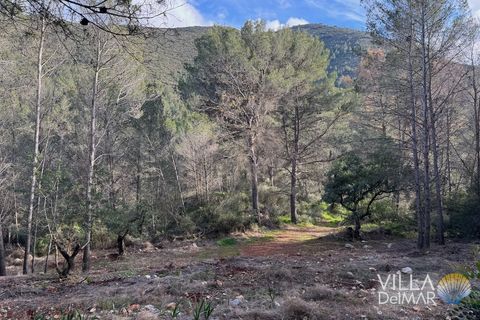 Helårsgrund i Jalon, Alicante, Jalon - € 210.000 | Ref: P-601 - foto 13